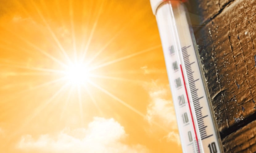 Les meilleurs produits anti-canicule