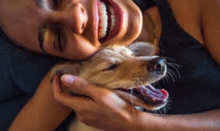 Intérieur sans poils de chien : quelles astuces ?