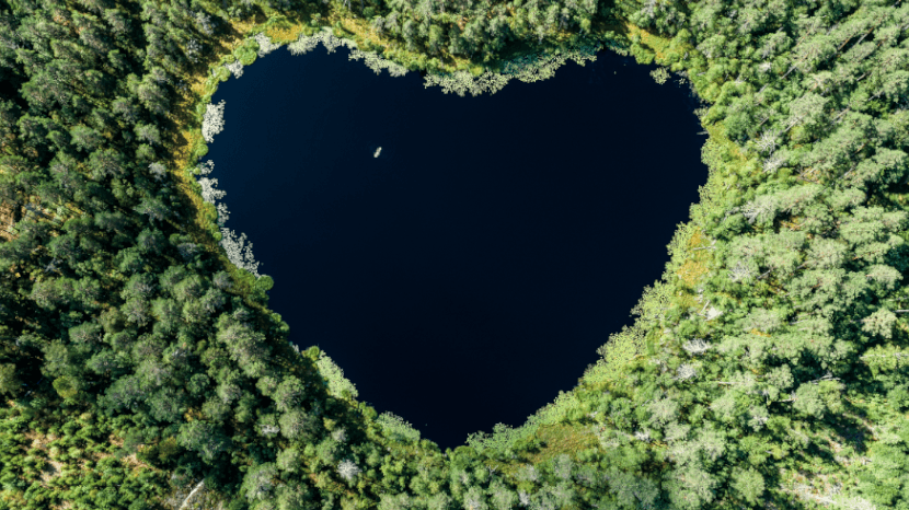 Nos produits pour réduire l'impact environnemental 