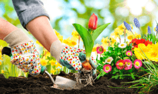 Entretien du jardin en printemps : les conseils