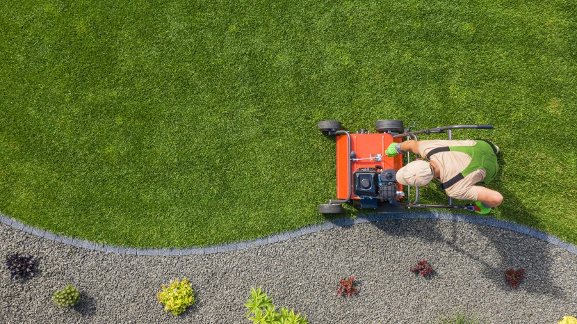 Nos astuces pour éliminer les mauvaises herbes