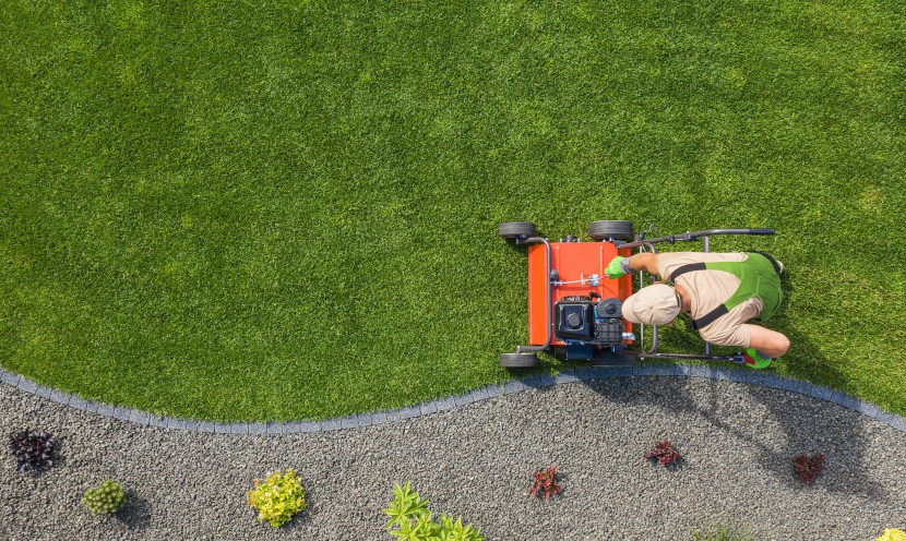 Nos astuces pour éliminer les mauvaises herbes Nos astuces pour éliminer les mauvaises herbes