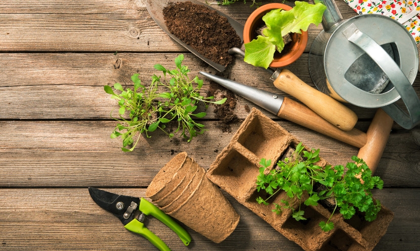 Nos conseils pour bien aménager votre jardin Nos conseils pour bien aménager votre jardin