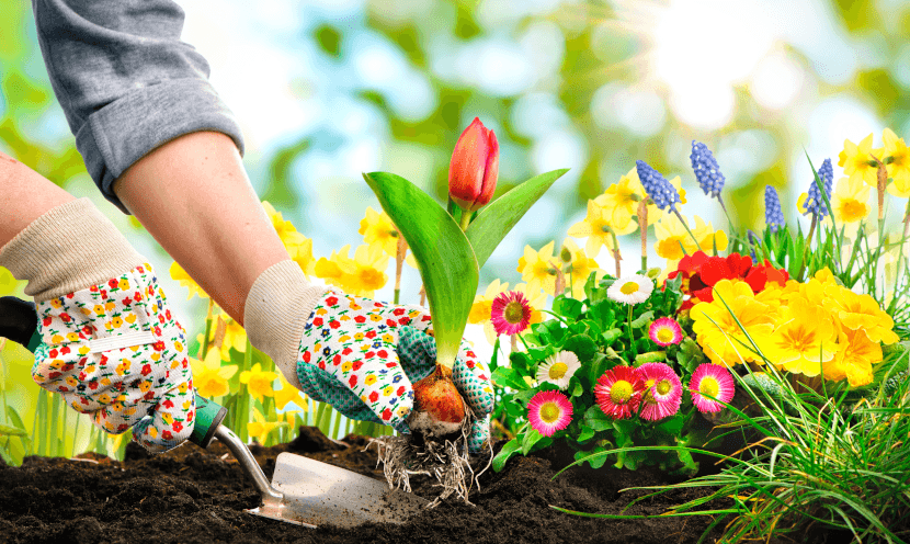 Entretien du jardin en printemps : les conseils Entretien du jardin en printemps : les conseils