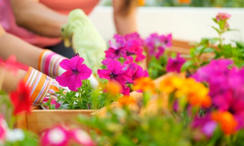 Les astuces pour un jardin bien entretenu au printemps Les astuces pour un jardin bien entretenu au printemps